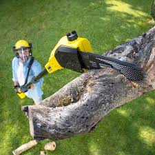 Best Lawn Drainage Solutions  in La Huerta, NM