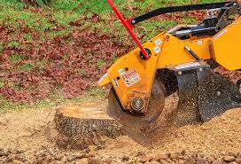 Best Stump Grinding and Removal  in La Huerta, NM